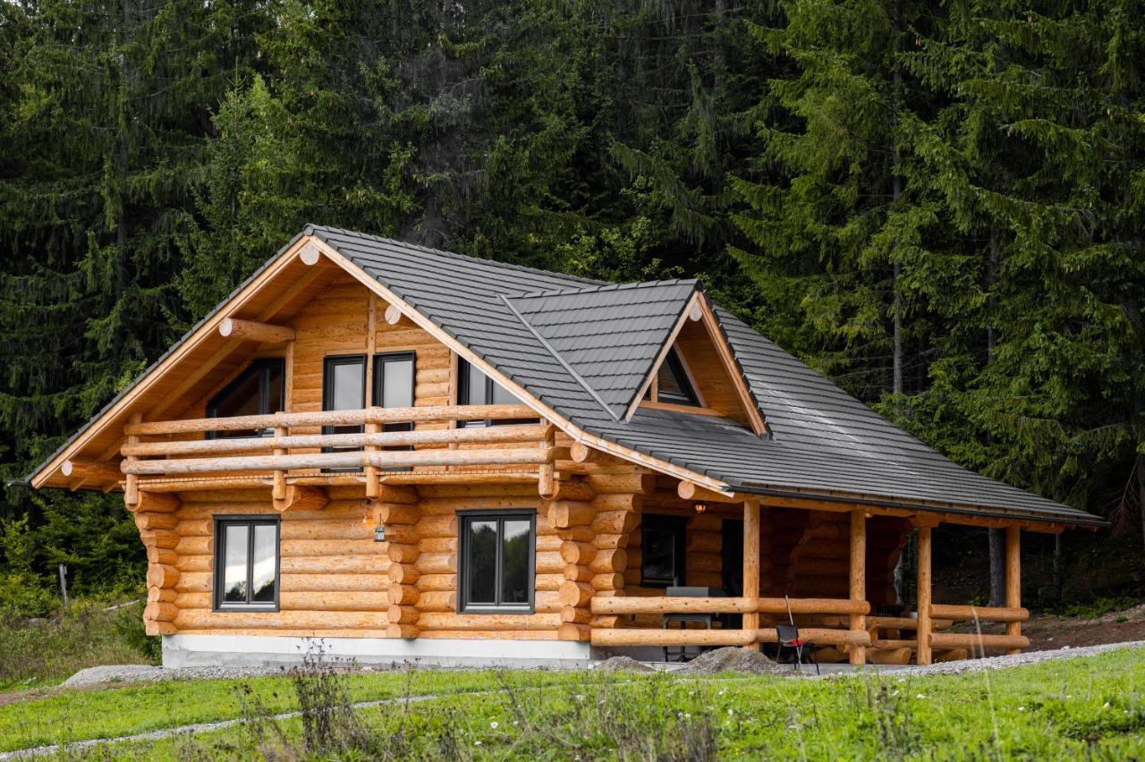 Harghita Log Houses 伊兹沃阿莱 外观 照片