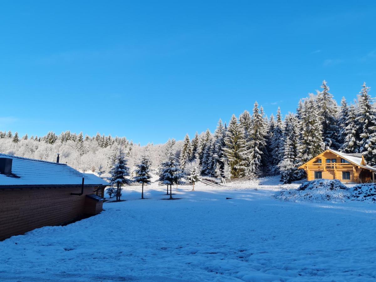 Harghita Log Houses 伊兹沃阿莱 外观 照片