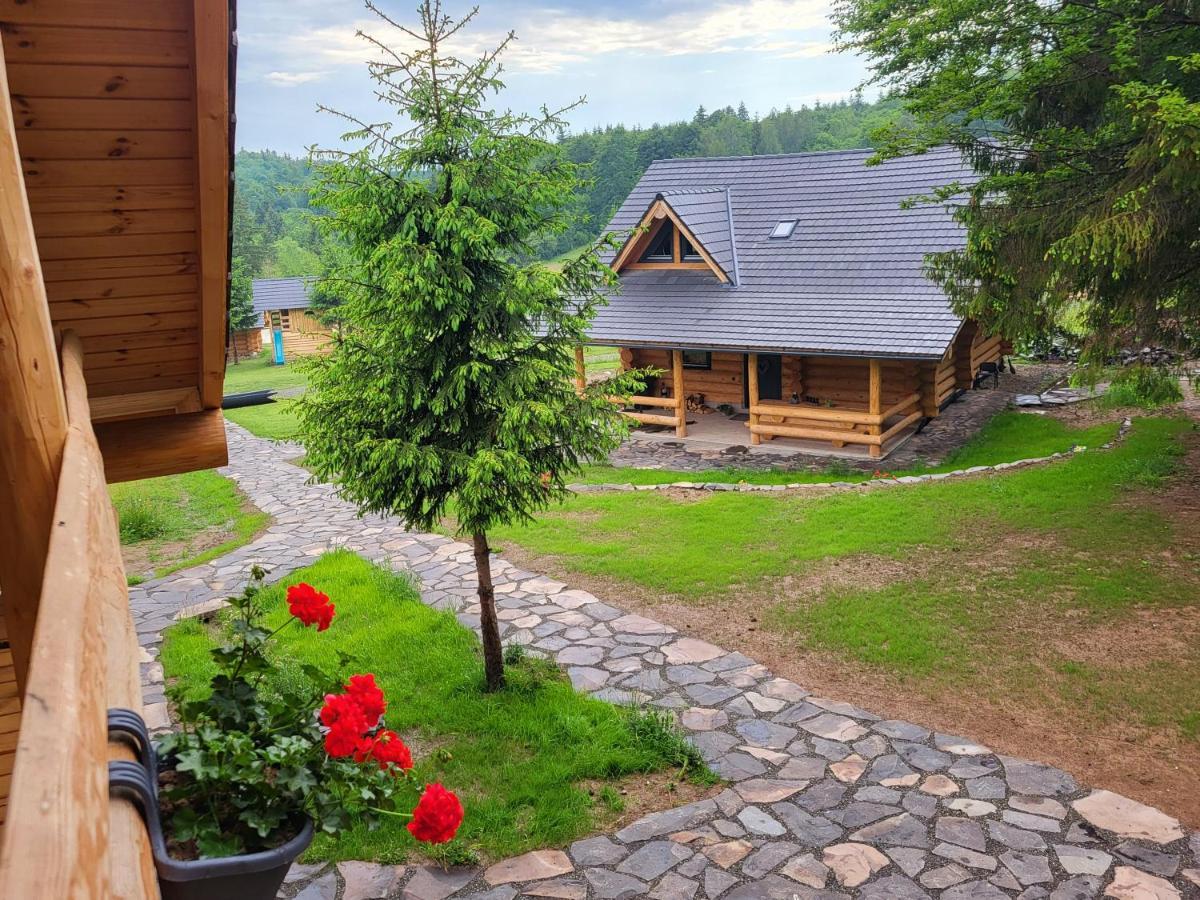 Harghita Log Houses 伊兹沃阿莱 外观 照片