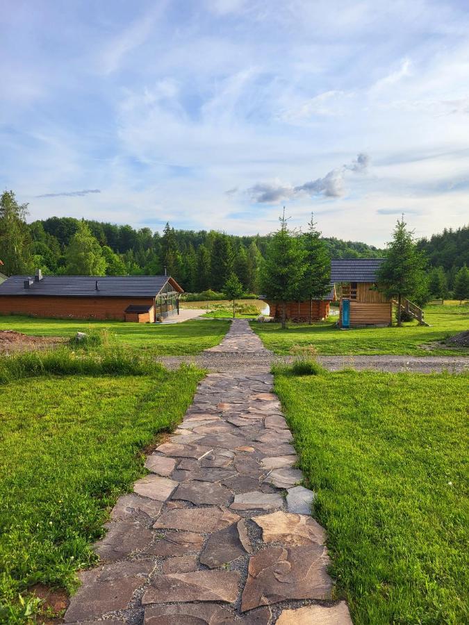 Harghita Log Houses 伊兹沃阿莱 外观 照片